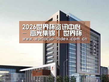 案例展示七
