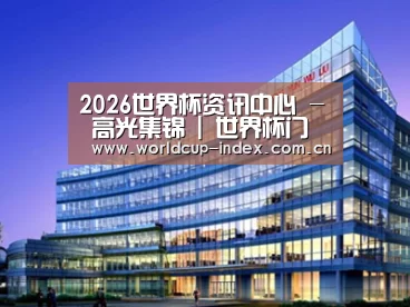 案例展示五