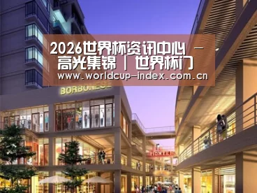 案例展示一
