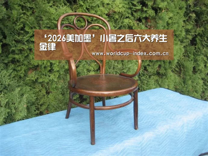 ‘2026美加墨’小暑之后六大养生金律(图2) 中文资讯
