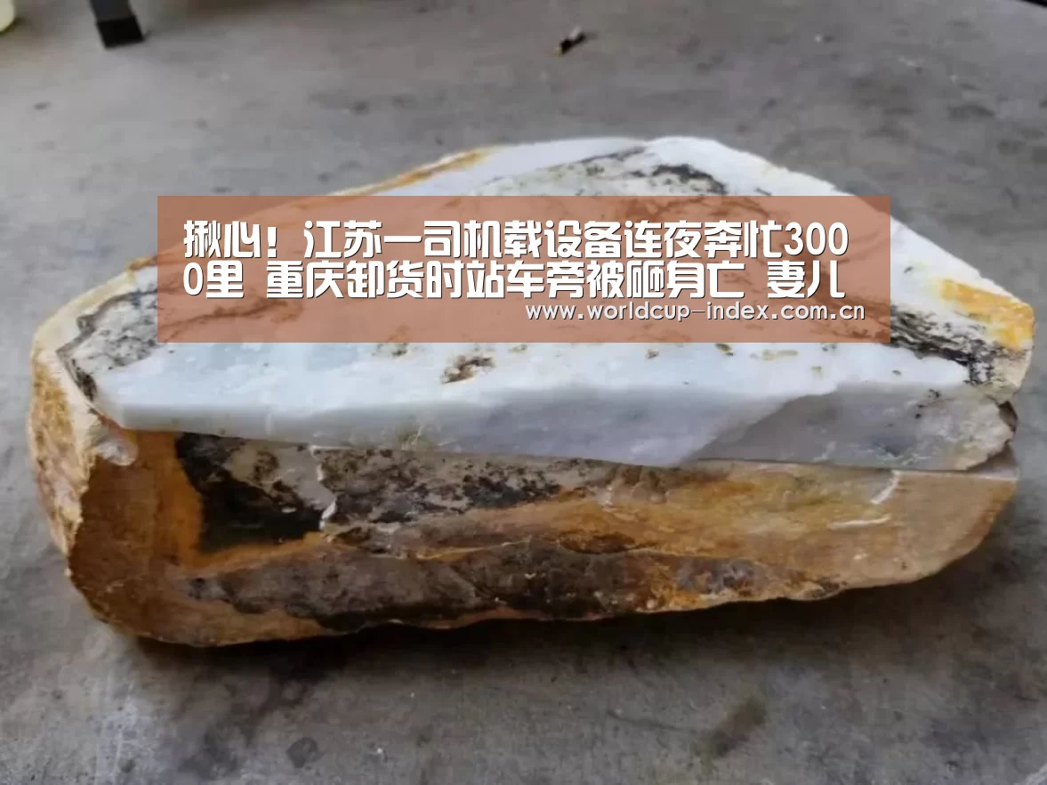揪心!江苏一司机载设备连夜奔忙3000里 重庆卸货时站车旁被砸身亡 妻儿哭晕‘赛程查询’(图3) 赛程查询
