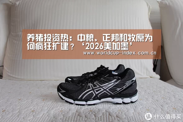 养猪投资热:中粮、正邦和牧原为何疯狂扩建?‘2026美加墨’(图1) 赛程查询