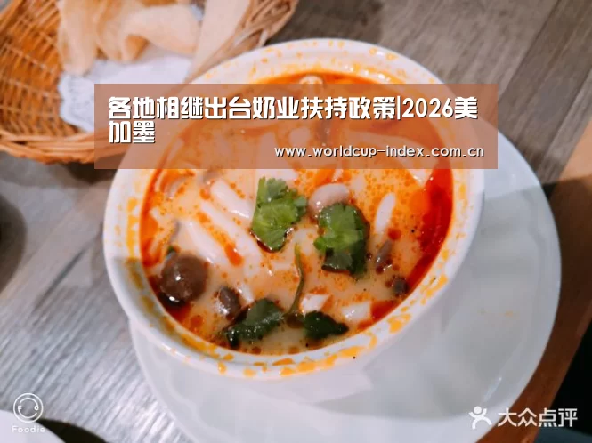 各地相继出台奶业扶持政策|2026美加墨(图1) 赛程查询