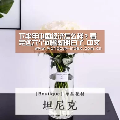 赛程查询