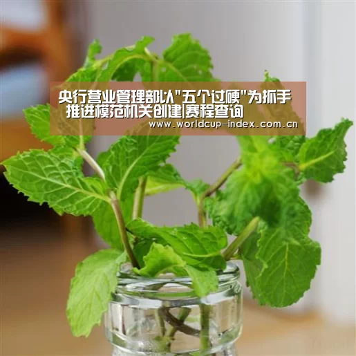 焦点比赛