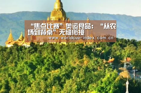 “焦点比赛”奥运食品:“从农场到餐桌”无缝衔接(图2) 焦点比赛