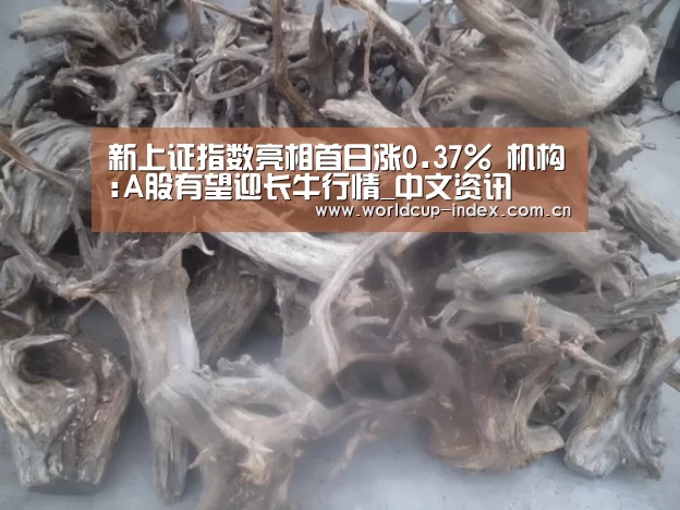 新上证指数亮相首日涨0.37% 机构:A股有望迎长牛行情_中文资讯(图1) 2026美加墨
