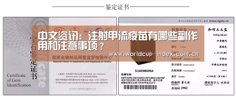 中文资讯:注射甲流疫苗有哪些副作用和注意事项?(图1) 焦点比赛