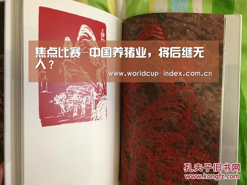 焦点比赛