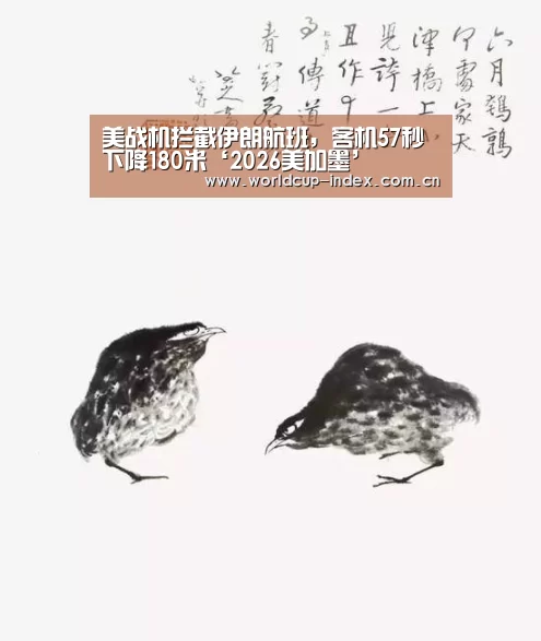 美战机拦截伊朗航班,客机57秒下降180米‘2026美加墨’(图1) 焦点比赛