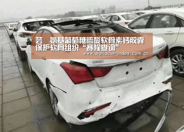 中文资讯