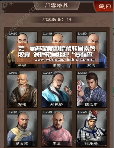 赛程查询