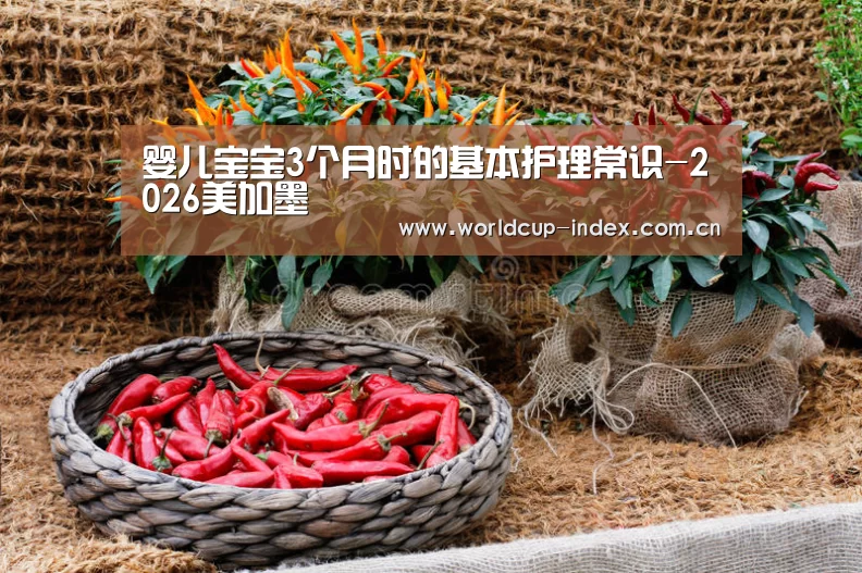 婴儿宝宝3个月时的基本护理常识-2026美加墨(图1) 中文资讯