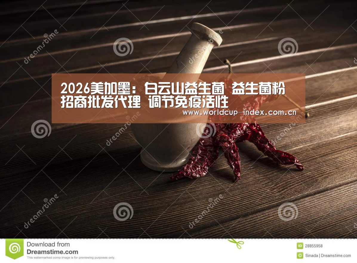 中文资讯