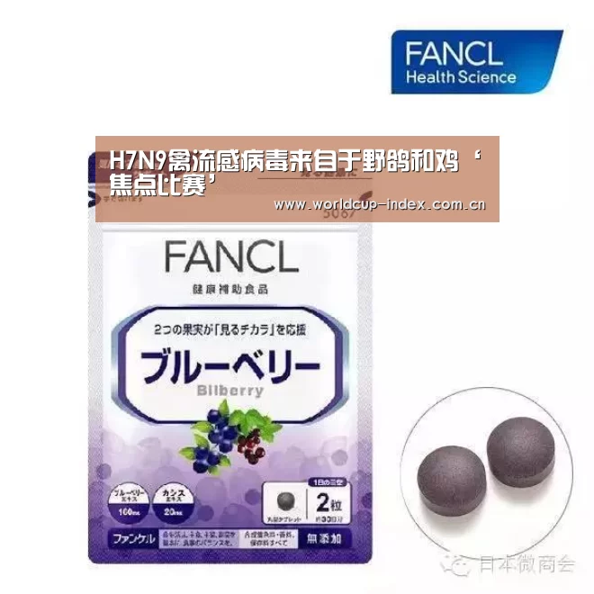 赛程查询