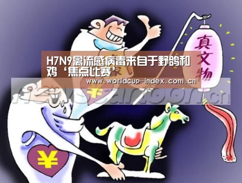 焦点比赛