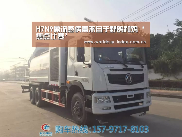 赛程查询