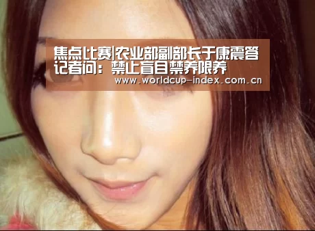 2026美加墨