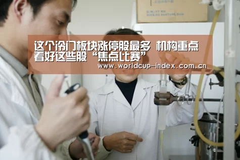 中文资讯