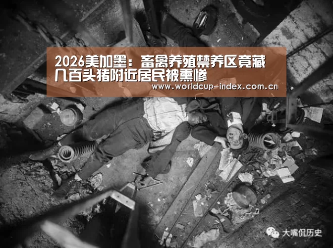 焦点比赛