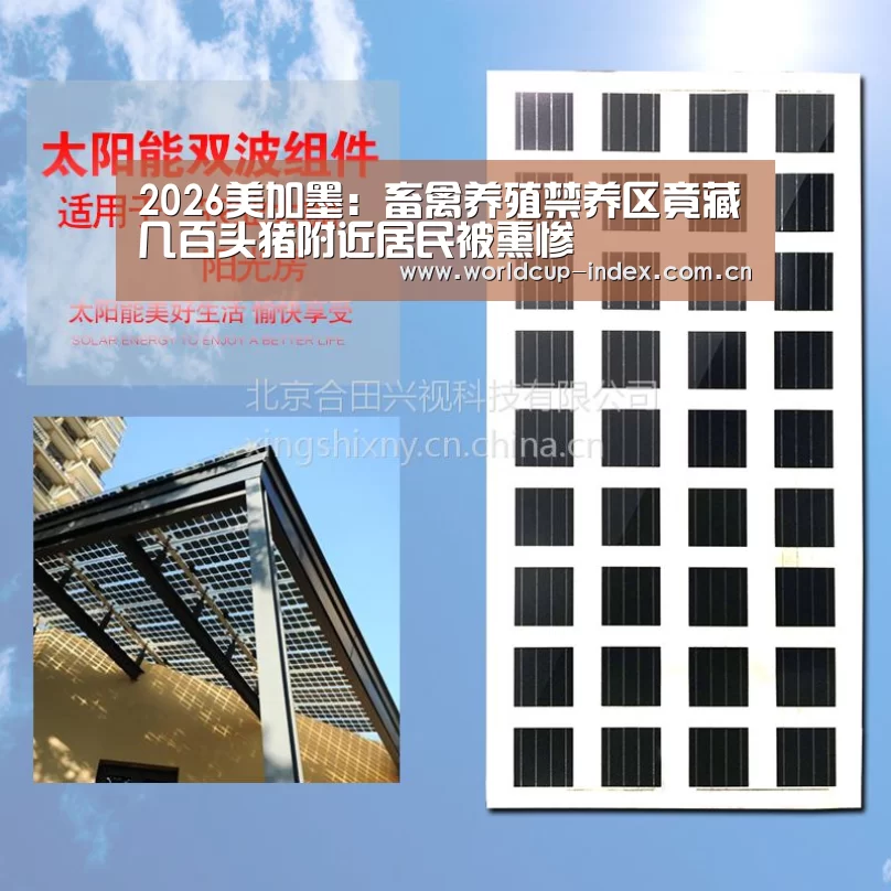 赛程查询