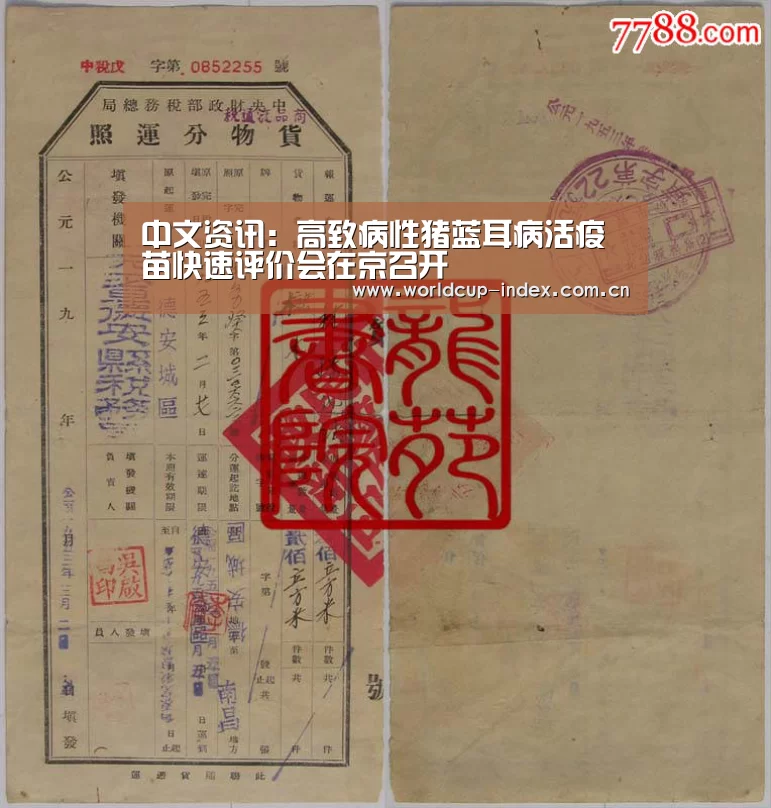 中文资讯