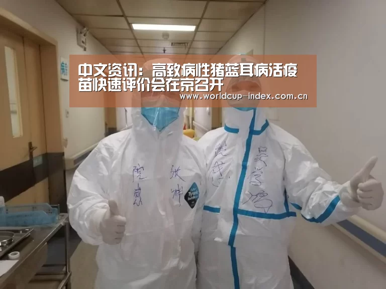 赛程查询