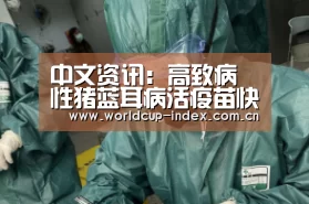 赛程查询