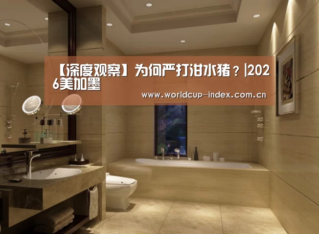 中文资讯