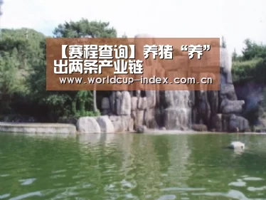 【赛程查询】养猪“养”出两条产业链(图1) 赛程查询