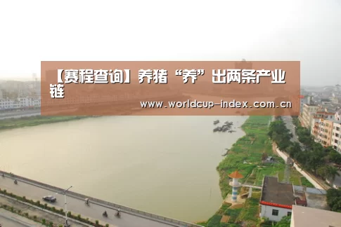 【赛程查询】养猪“养”出两条产业链(图3) 焦点比赛