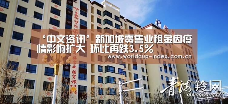 中文资讯