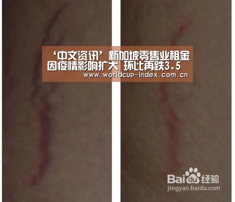 赛程查询